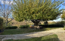 Arcevia, Marche 60011