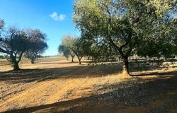 Carovigno, Apulia 72012