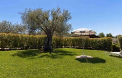 Scansano, Tuscany 58054