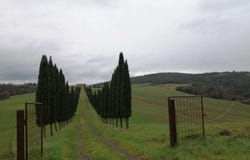 Murlo, Tuscany 53016