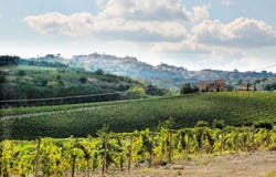 Montepulciano, Tuscany 53045