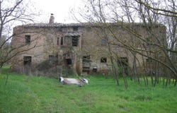 Perugia, Umbria