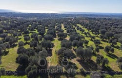 Manduria, Apulia 74024
