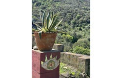 Portoferraio, Tuscany 57037