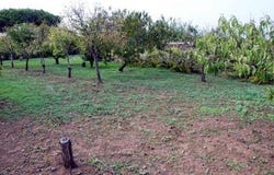 Ustica, Sicily 90010