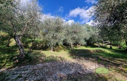 Calci, Tuscany 56011