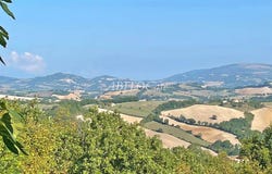 Arcevia, Marche 60011