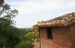 Trequanda, Tuscany 53020
