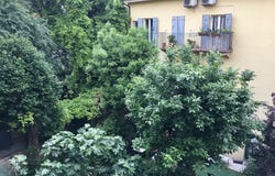 Via Torleone, Bologna, Emilia-Romagna 40125