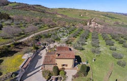Castiglione d'Orcia, Tuscany 53023