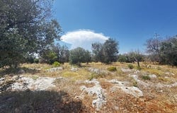 Carovigno, Apulia 72012
