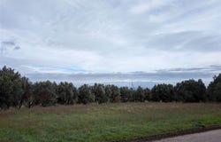 Castiglione Del Lago, Umbria