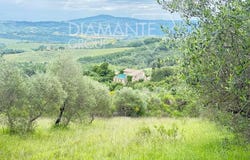Allerona, Umbria 05011