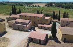Montescudaio, Toscana|Tuscany