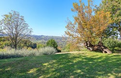 Gropparello, Emilia Romagna 29025