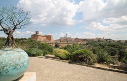 Siena, Tuscany 53100