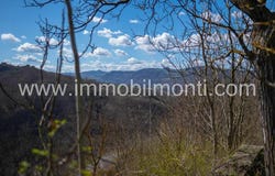 Ponti, The Piedmont 15010