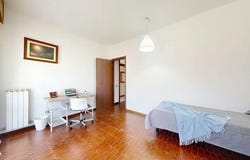 Via Risorgimento, Noventana, Veneto 35027