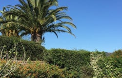 Punta Ala, Tuscany 58043