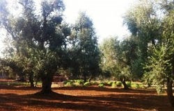 Ostuni, Puglia
