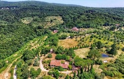 sassetta, Toscana|Tuscany