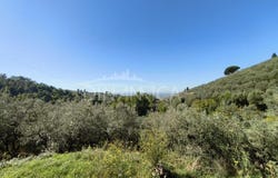 Vinci, Tuscany 50059