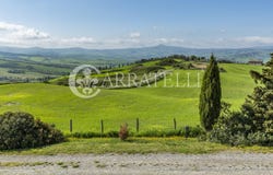 Montepulciano, Tuscany 53045