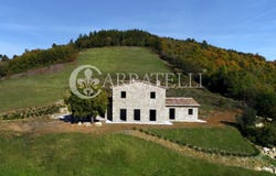 Città di Castello, Umbria 06012