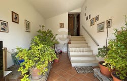 Montepulciano, Tuscany 53045