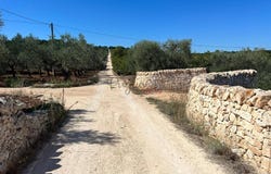 Ostuni, Apulia 72017
