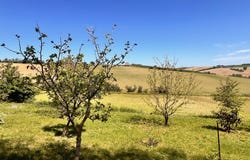 Piagge, Marche 61030