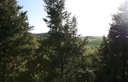 Trequanda, Tuscany 53020