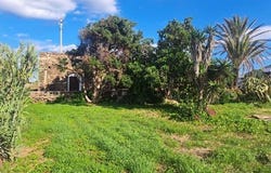 Pantelleria, Pantelleria, Pantelleria Island 91017