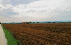 Siena, Tuscany 53100
