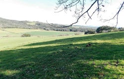 Grosseto, Tuscany 58100