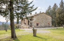 Parrano, Terni