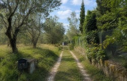 Arpino, Lazio 03033