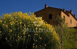 Trequanda, Siena