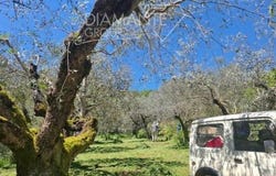 Panicale, Umbria