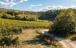 Reggello, Tuscany 50060