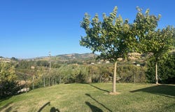 Montefelcino, Marche 61030