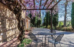 Sinalunga, Tuscany 53048