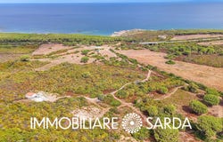 Aglientu, Sardinia 07020