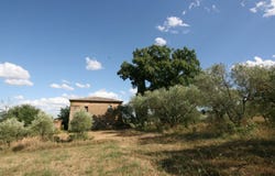 Torrita di Siena, Tuscany 53049