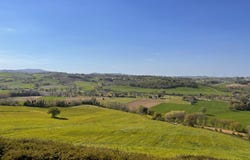 Barbara, Marche 60010