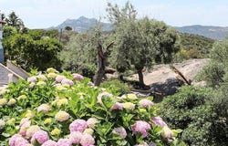 Arzachena, Sardinia 07021
