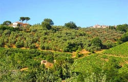 Siena, Tuscany 53100