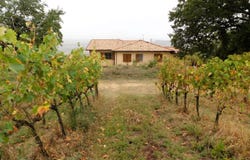 Manciano, Tuscany 58010
