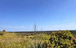 Carovigno, Apulia 72012