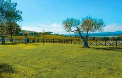Tuoro sul Trasimeno, Umbria 06069